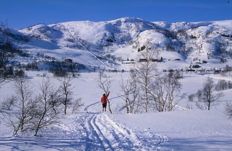 Utsikten mot trekket