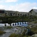 Avgang Melands Grønahei