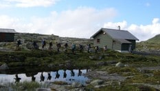 Avgang Melands Grønahei