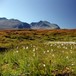 Rondane