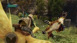Final Fantasy Crystal Chronicles: The Crystal Bearer