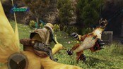 Final Fantasy Crystal Chronicles: The Crystal Bearer