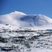 I Sylans Villmark