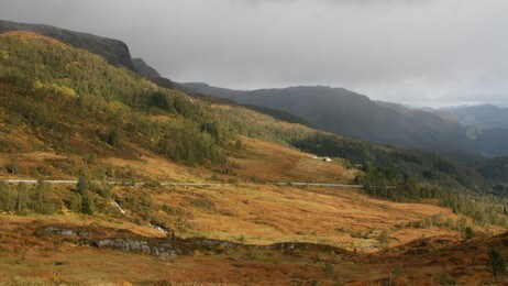 Ramsdalsheia på Naustdalssida (Foto: Kjell Arvid Stølen/NRK) Ramsdalsheia på Naustdalssida (Foto: Kjell Arvid Stølen/NRK)