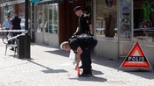 Ran i Sverige