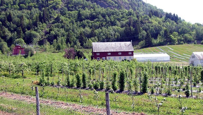 Bioforsk Njøs. (Foto: NRK)