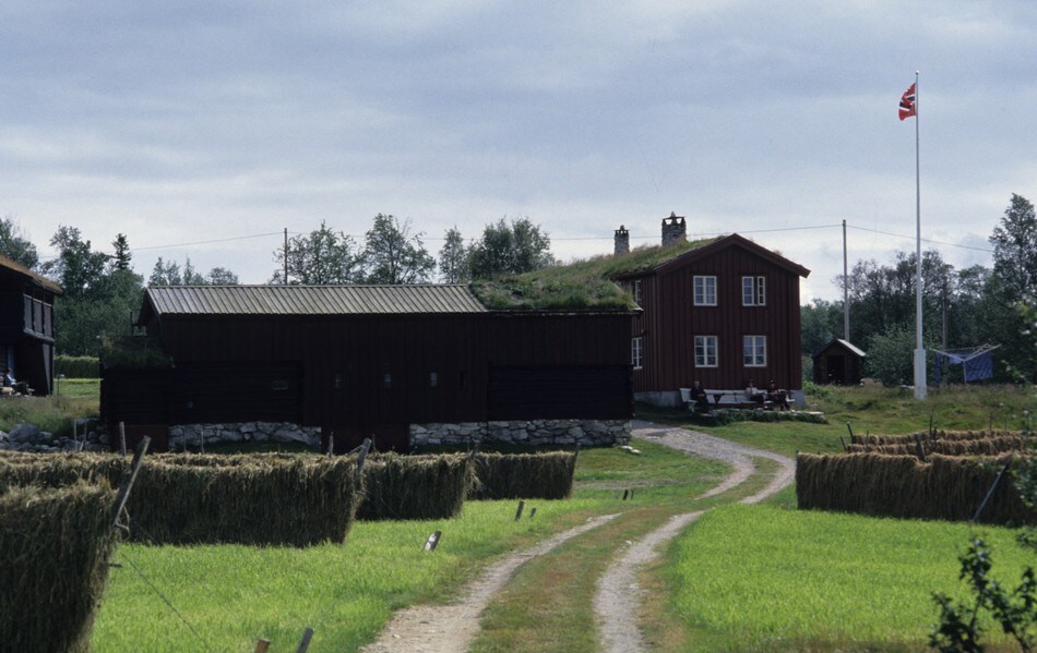 Svukuriset