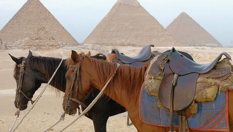 Ingen turistar ved pyramidane i Egypt. (Foto: JOE KLAMAR/Afp) Ingen turistar ved pyramidane i Egypt. (Foto: JOE KLAMAR/Afp)