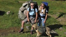 Hund med kløv (Foto: Ågot Carloine Nilssen/Den Norske Turistforening) Hund med kløv (Foto: Ågot Carloine Nilssen/Den Norske Turistforening)