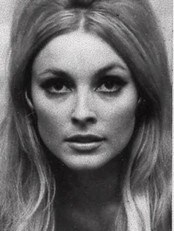 Sharon Tate (AP) Sharon Tate (AP)