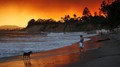 Santa Barbara (Foto: DAVID MCNEW/AFP) Santa Barbara (Foto: DAVID MCNEW/AFP)