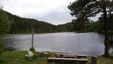 Stubbsetertjønna