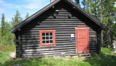 Tingstadkoia sommer