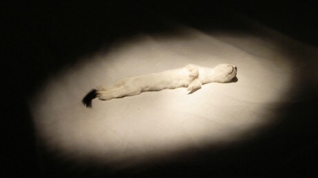 Thora Dolve Balkes 'OH GOD NO' fra 'Lights On' (Foto: Astrup Fernley Museet) Thora Dolve Balkes 'OH GOD NO' fra 'Lights On' (Foto: Astrup Fernley Museet)