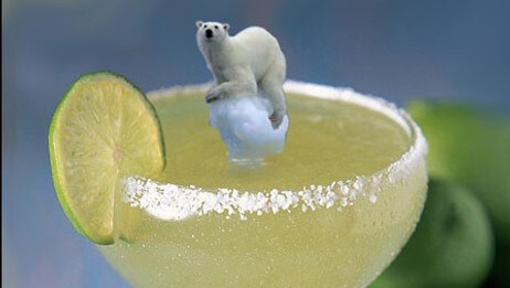 Margaritabjørnen (Foto: Innsendt av Tor Raael)