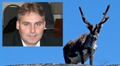 Torgeir Trældal, landbrukspolitisk talsmann Frp
