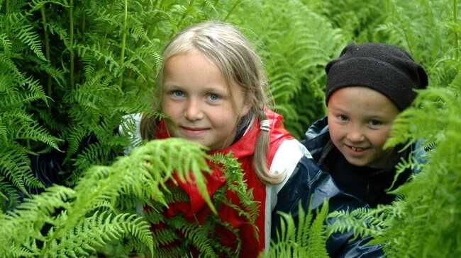 Barn på tur (Foto: Julie Maske/Den Norske Turistforening)