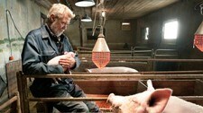 Tor i grisefjøset (Foto: Ekroll, Anne Liv/Anne Liv Ekroll, NRK)