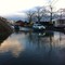 Springflo Trondheim 