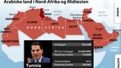 Grafikk: land i den arabiske verden (Foto: Nyhetsgrafikk.no/Scanpix) Grafikk: land i den arabiske verden (Foto: Nyhetsgrafikk.no/Scanpix)