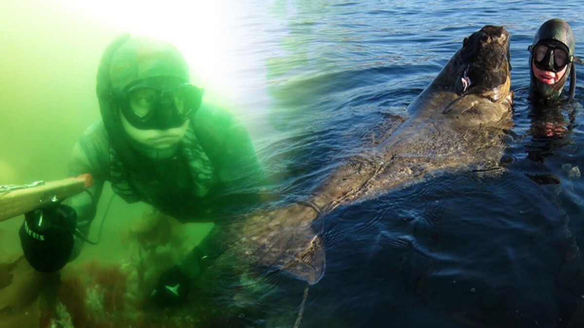 erotic massage stavanger hvordan bli en god kysser erotic massage stavanger hvordan bli en god kysser