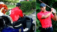 Tiger Woods