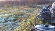 Illustrasjonsbilde fra Ringsakerfjellet