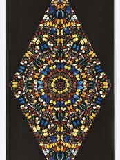 Damien Hirst: 'Sceptic' (silketrykk) (Foto: Studio Hugo Opdal/Paul Stolper Gallery) Damien Hirst: 'Sceptic' (silketrykk) (Foto: Studio Hugo Opdal/Paul Stolper Gallery)