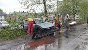 Bil mot tre - En person ble skadd da bilen kjørte inn i et tre i Holtermannsveien i Trondheim.