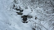 Snøbekk