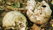 Srebrenica Srebrenica