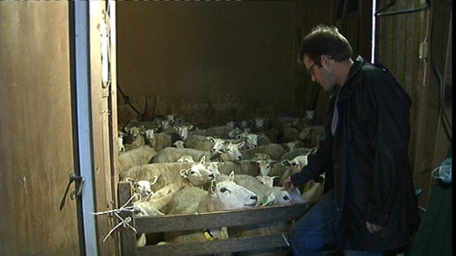 Kåre Kleiva (Foto: Jørn Nordli/NRK) Kåre Kleiva (Foto: Jørn Nordli/NRK)