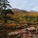 Høst i Reindalen