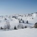 Idyllisk ved utedoen på Nystøyl