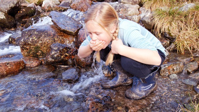 Jente drikker vann fra bekk (Foto: Merete Habberstad/Den Norske Turistforening)