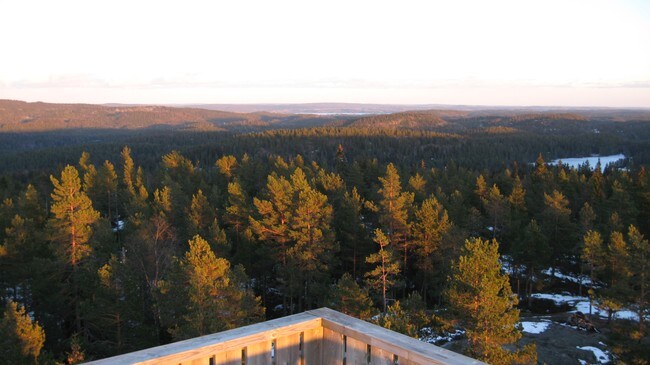 Kjerringhøgda i Østmarka (Foto: Jan Ove Brenden) Kjerringhøgda i Østmarka (Foto: Jan Ove Brenden)