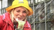 Solveig Hareide (NRK)