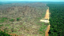 Amazonas (Foto: ALBERTO CESAR/AP)