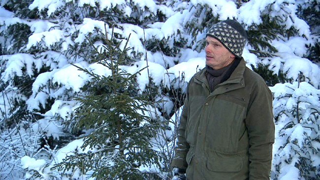 Skogsbrukssjef i Rakkestad, Knut Østby (Foto: Tor René Stryger/NRK)