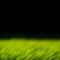 Vinnar, Nytt talent / Young Travel Photographer of the Year 15–18 “Grønt”: Abstrakt gras.