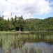 Migardtjern mot Gyrihaugen