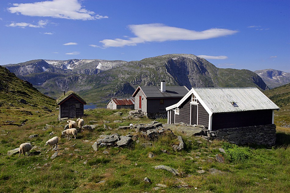 Stølsgrenden på Vatnane med Einebærfjellet bak