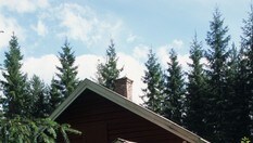 Vålet