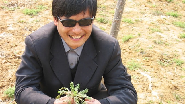 China Blind Lawyer Chen Guangcheng (Ap) China Blind Lawyer Chen Guangcheng (Ap)
