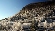 Frost og mildvær (Foto: Jonn Haga)