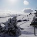 Skjellbreida vinter