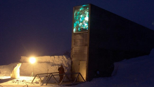 Frøhvelvet på Svalbard (Foto: Mari Tefre/NRK)