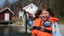 Kystledhytta Sildevika Kystledhytta Sildevika (Foto: Telemark Turistforening/Den Norske Turistforening) Kystledhytta Sildevika Kystledhytta Sildevika (Foto: Telemark Turistforening/Den Norske Turistforening)