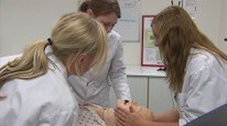 Video - En tabbe å droppe lærlinger (Foto: Nyhetsspiller) Video - En tabbe å droppe lærlinger (Foto: Nyhetsspiller)