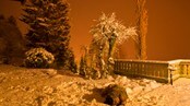 Natt til søndag kom det mer snø til våre strøk her i Innfjorden. Bikkja låg ute og lot seg “besnø”  (Foto: Steinar Vikås)